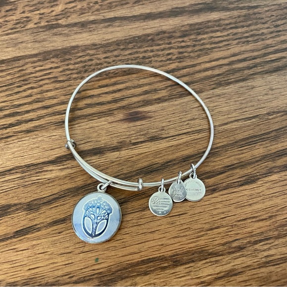 Alex and Ani charm bangle - Picture 2 of 3